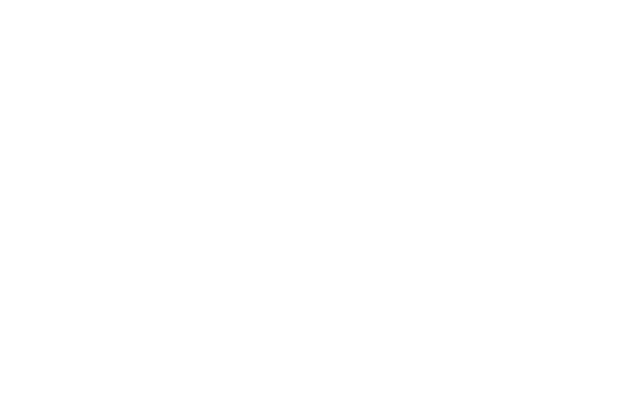 Logo Weiß ohne Hintergrund