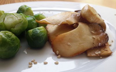 Gebratener Kräuterseitling