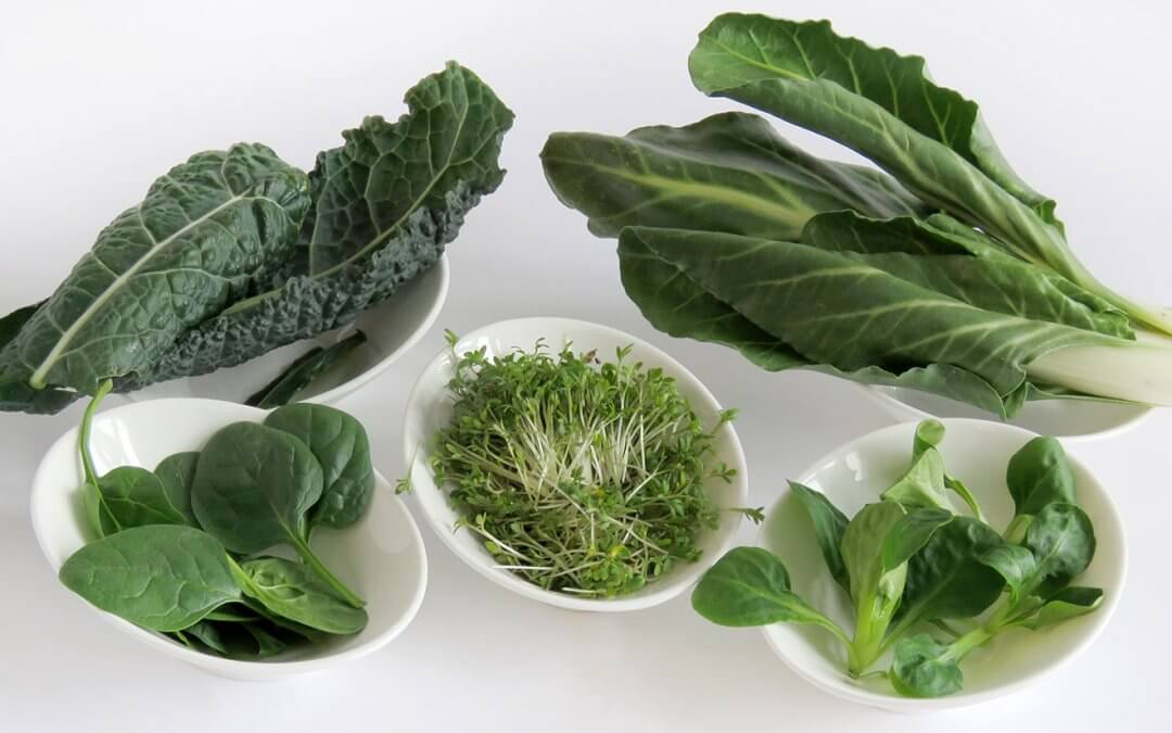 5 x eiweißreiches Gemüse