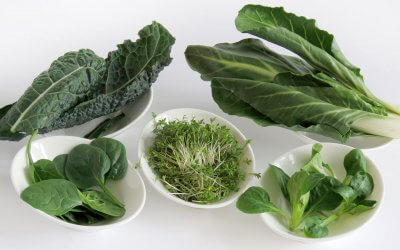 5 x eiweißreiches Gemüse